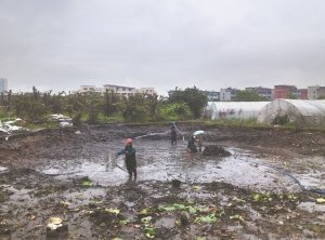 怒江河道鱼塘清淤